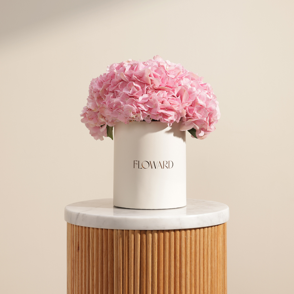 Pink Melody Hydrangea Box | 8 Flowers