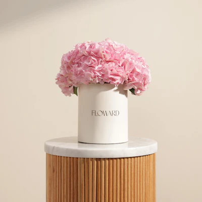Pink Melody Hydrangea Box | 8 Flowers Pink Melody Hydrangea Box | 8 Flowers