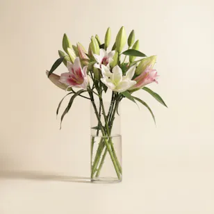 Harmonious Blend Lily Vase | 8 Flowers