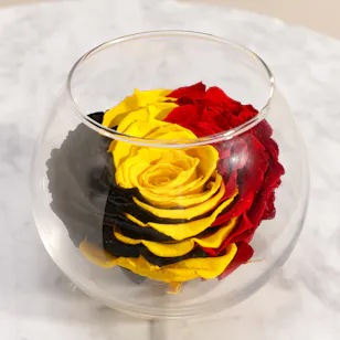 Bold Look Preserved Rose Vase Bold Look Preserved Rose Vase