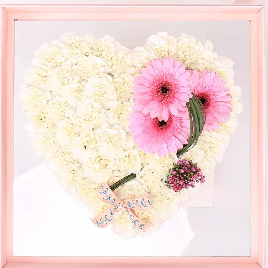 Heart of Gerbera  2