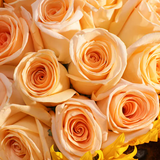 Sunshine Blooms Flowers Vase