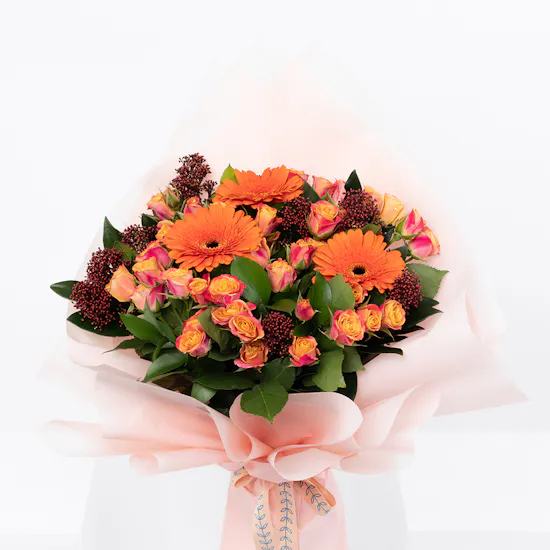 Marmalade | Pink Wrapping