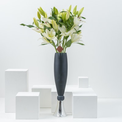 White Lilies | Black Vase