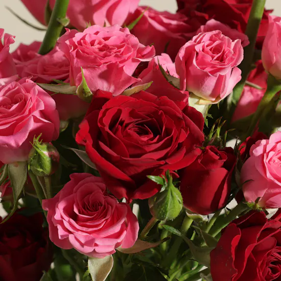 Pink Resilience Flower Vase