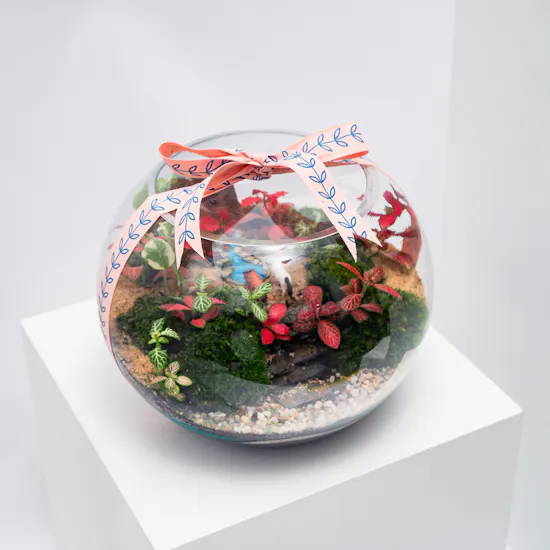 Little Green Forest | Closed Terrarium