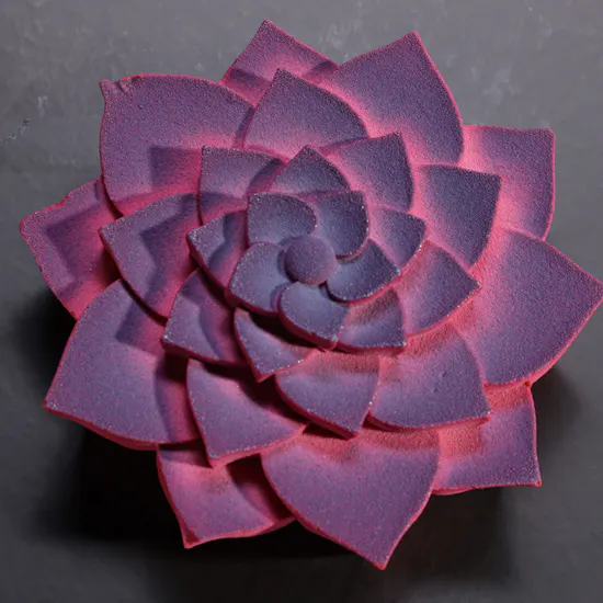 Dinara Kasko Succulent Cake | Birthday White Flower Vase