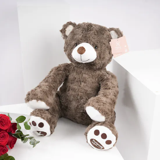 Brown Teddy Bear | Sparkle of Roses