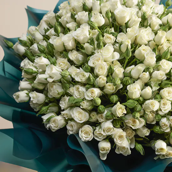Pure White Baby Roses Bouquet | 75 Flowers