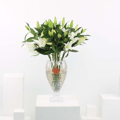 Elegant Lilies | Glass Vase