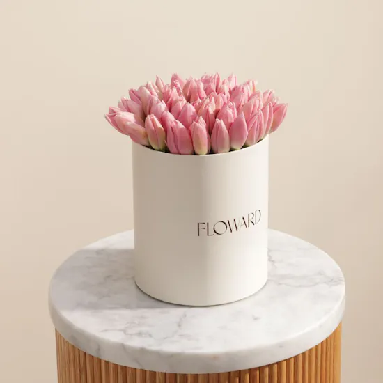 Melody Pink Tulip Box | 45 Flowers