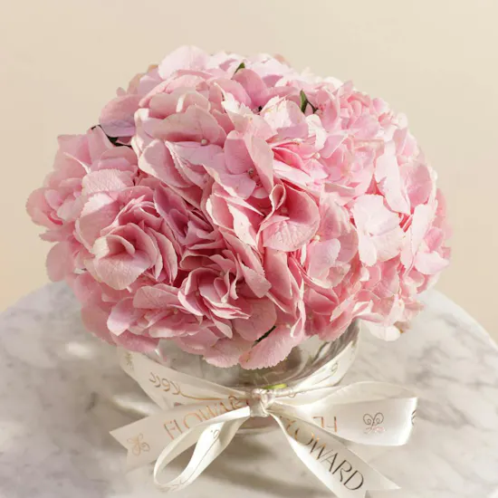 Cozy Pink Hydrangea Vase