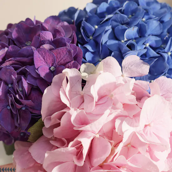 Delight Flowers Vase