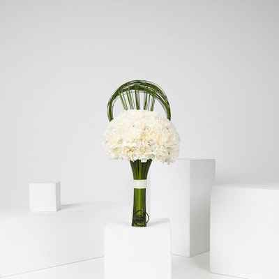 Omar AlRayyes Radiant