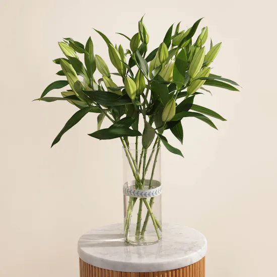 White Lilies | Cylinder Vase