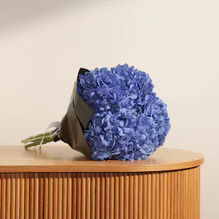 Blue Hydrangea | Black Wrapping Blue Hydrangea | Black Wrapping