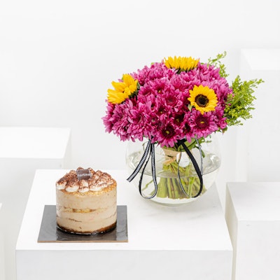 Tortina Tiramisu Cake | Delight Vase