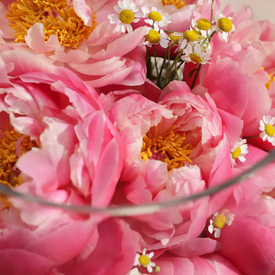 Whisper of Peony Coral Charm