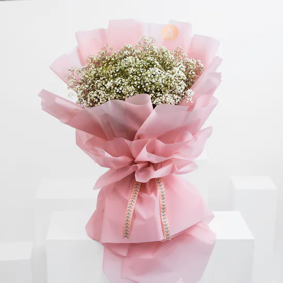 Gypso Lover | Pink Wrap