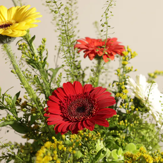 Color Carnival Flower Vase