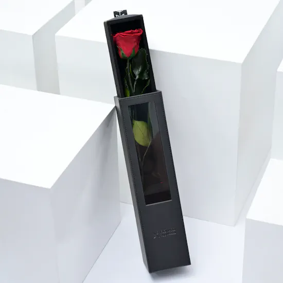 Preserved Red Rose | Black Box