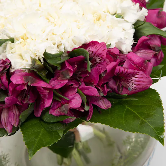 Carnation and Alstroemeria