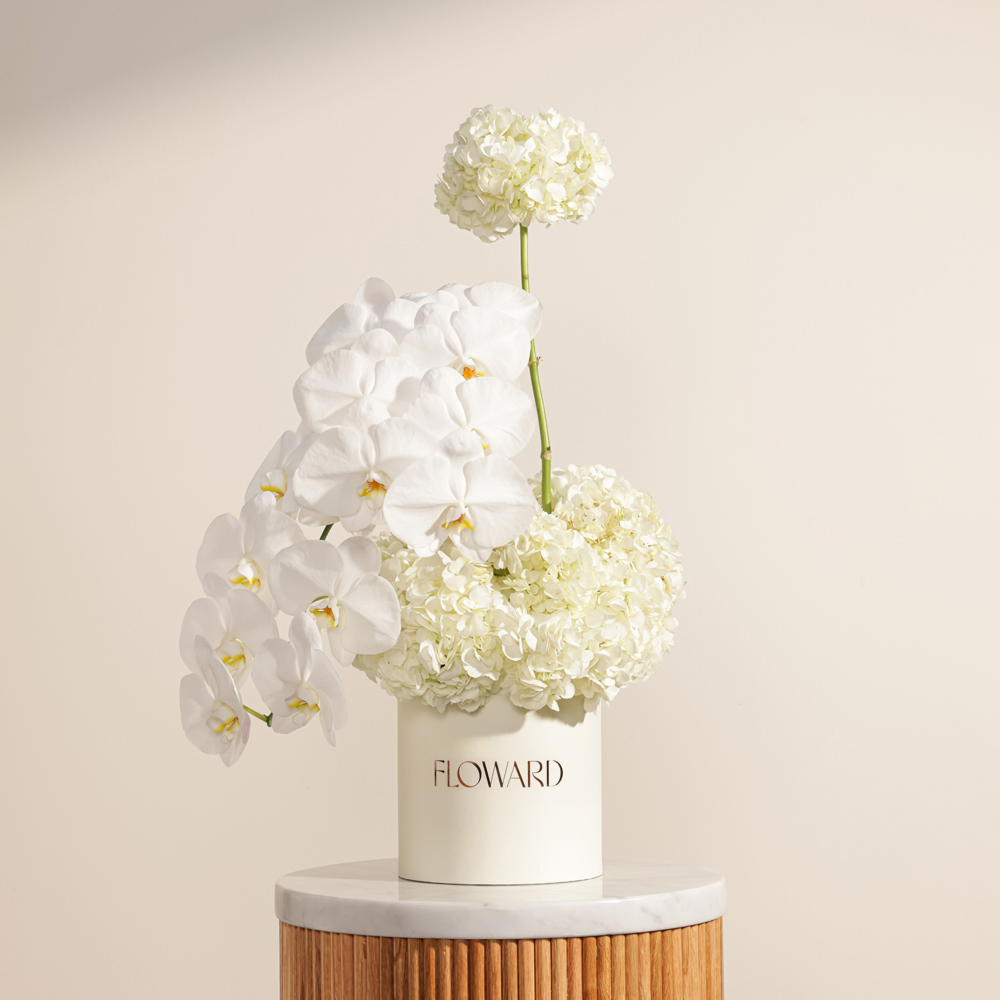 صندوق زهور بيضاء أنيقة