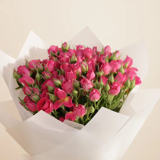 Smeg 50's Style Drip Filter Cream Coffee Machine | Warm Flowers Bouquet