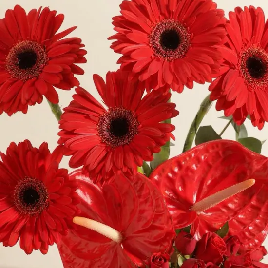 Regal Radiance Flowers Vase