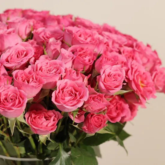 Cole Haan Luxury Women’s Bag | Beauty Flowers Vase
