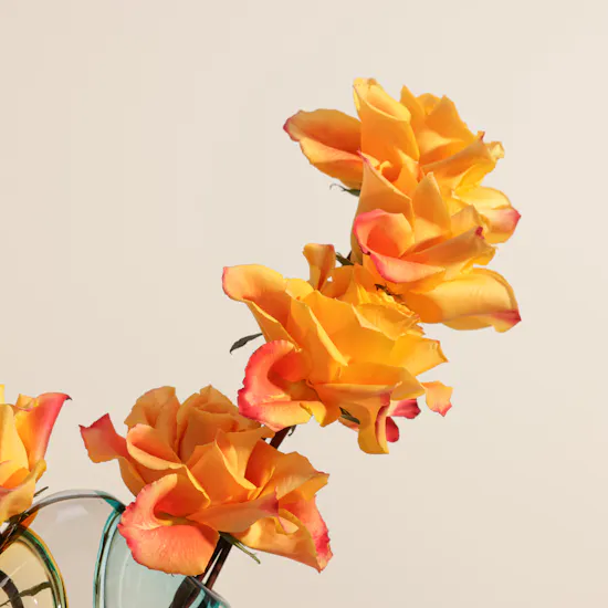 Garden Grace Flowers Vase
