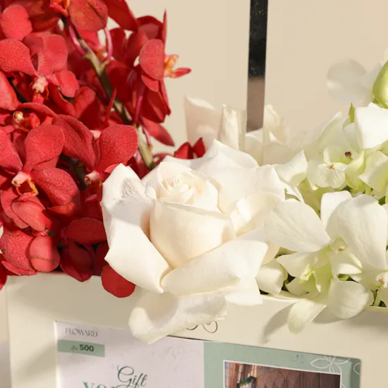 Joyous Hands Spa 500 SAR Gift Voucher | Wedding Congratulatory Flowers