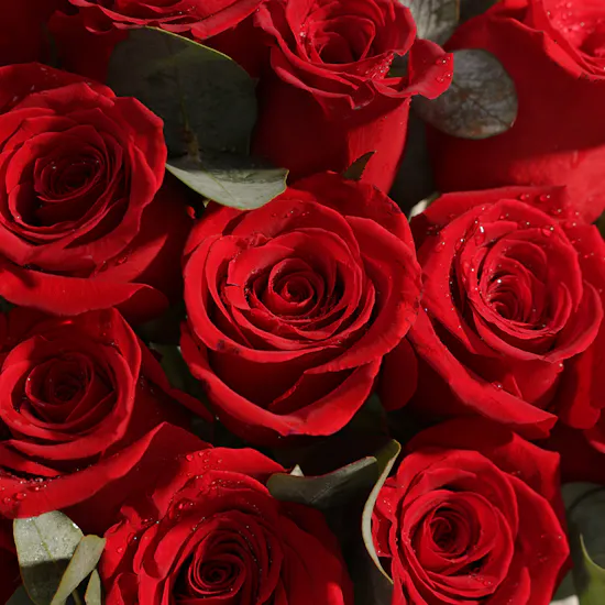 Abucci Black and Gold Chocolate Box | The Language of Love Roses Vase