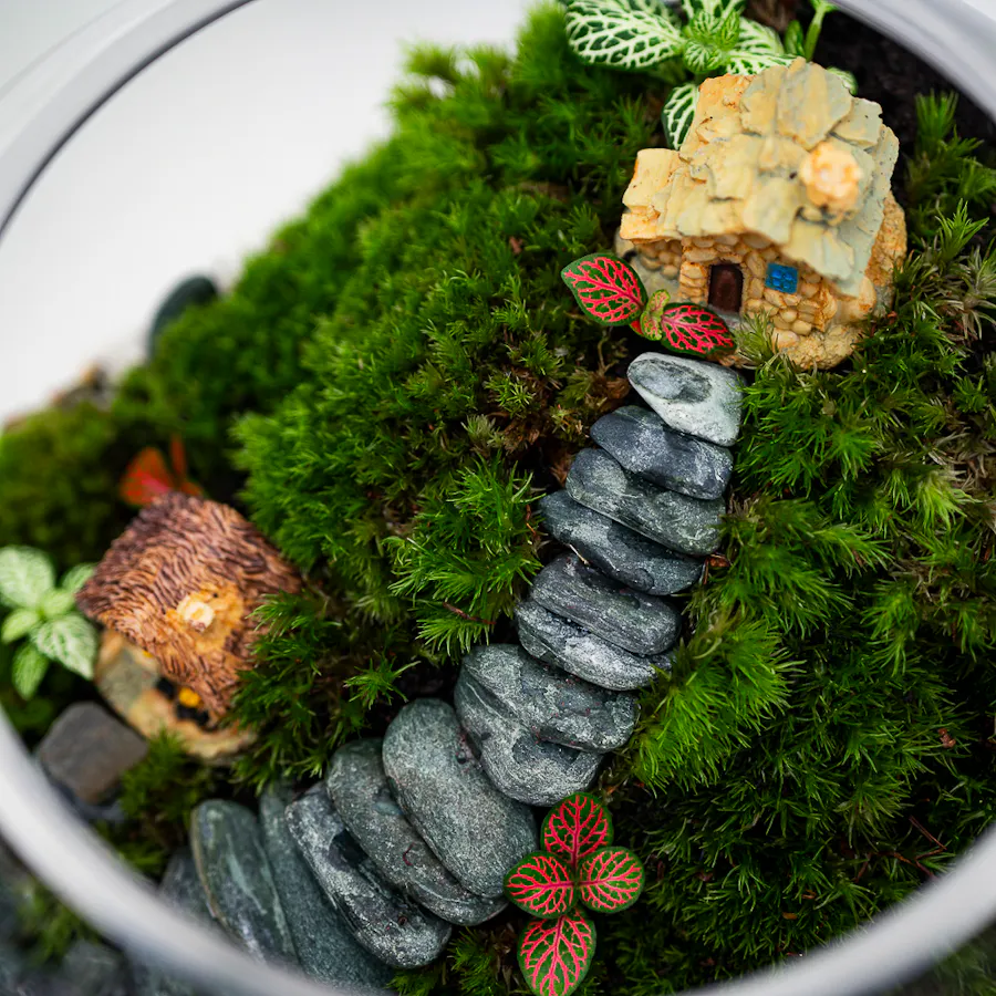 Little Forest Cottages | Closed Terrarium  2