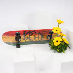 Toys R Us Stats - Skateboard  Canadian Maple Deck Stain| Gerbera Bouquet