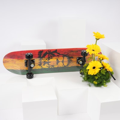Toys R Us Stats - Skateboard  Canadian Maple Deck Stain| Gerbera Bouquet