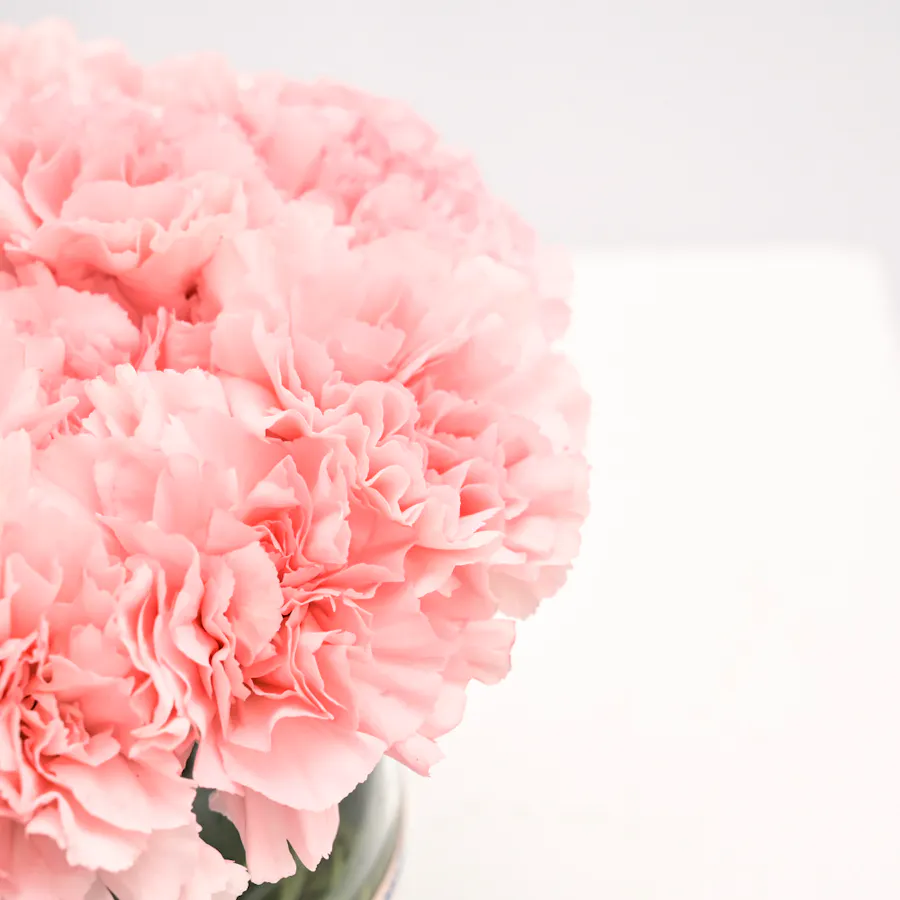 Marvelous Beauty Vase 3