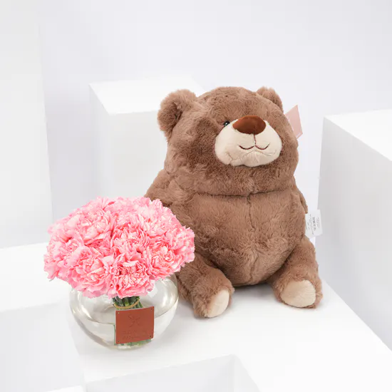 Plush Bear | Carnations Vase