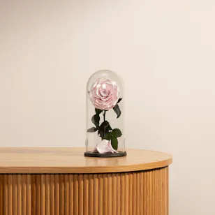 Preserved Pink Satin Rose | Glass Dome Preserved Pink Satin Rose | Glass Dome