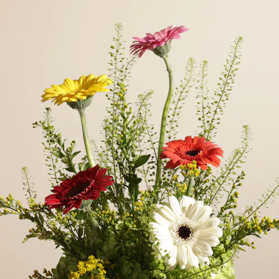 Color Carnival Flower Vase