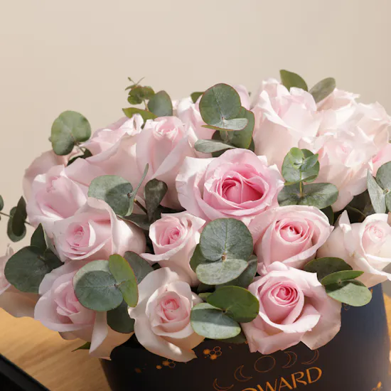 NJD Assorted Baklawas Gift Box | Blush of Gratitude Flowers