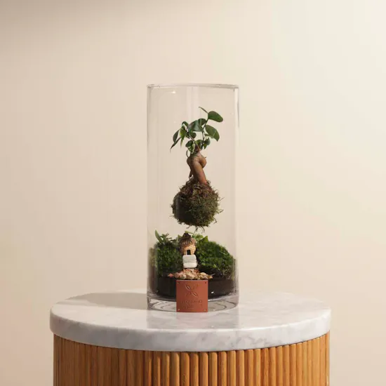 Elegant Terrarium Vase