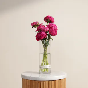 Peony Royal Fuchsia Vase
