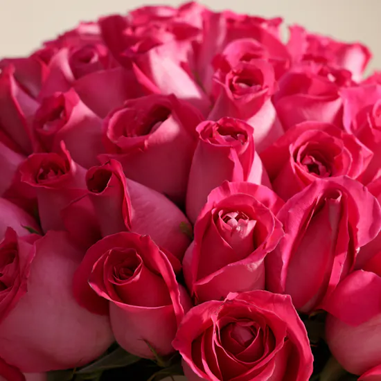 Fuchsia Bliss Bouquet | 150 Roses