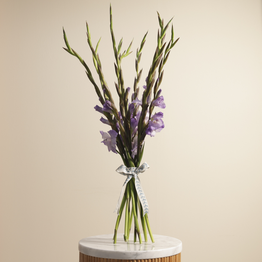 Purple Gladiolus | Flowers Bouquet