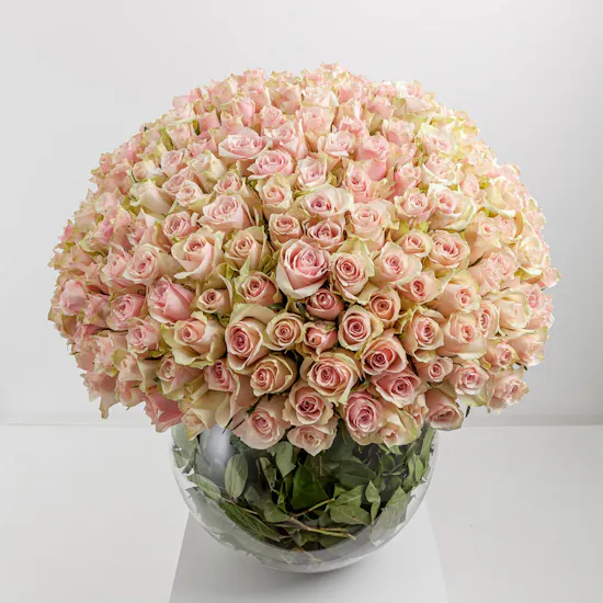 Lilieh | Glass Vase