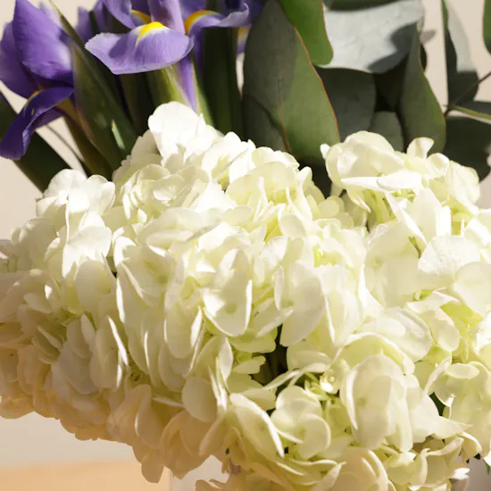 Hydrangea & Iris | Glass Vase