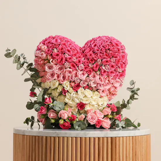 Baby Roses Paradise Heart