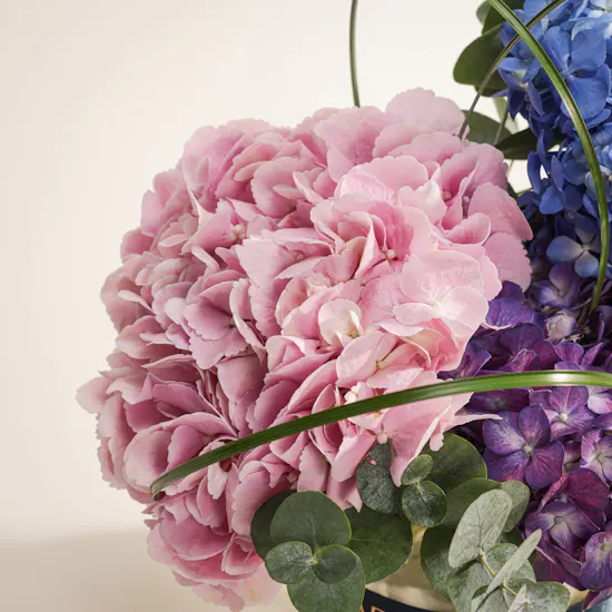 Cloud Atelier Hydrangea Vase