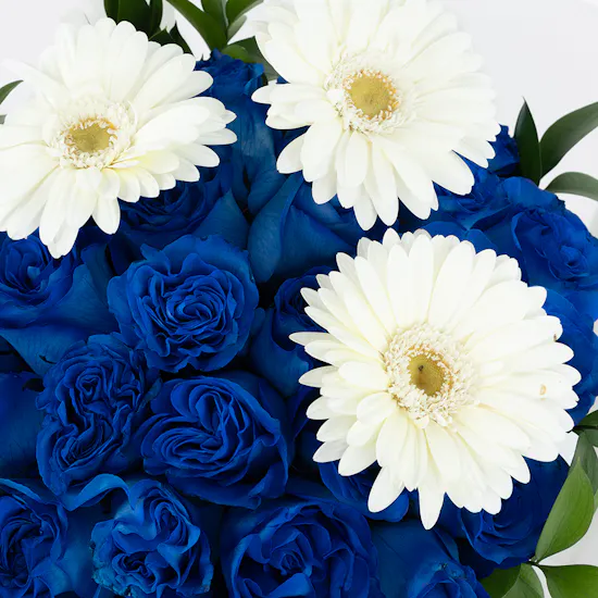 Mykonos | Blue Roses